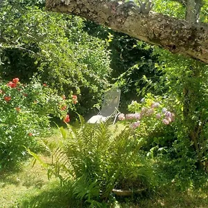 T2 Dans Familial , Valdeblore France